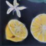 'Citrus Limon' Original Signed Spraypaint, thumbnail 8 of 12