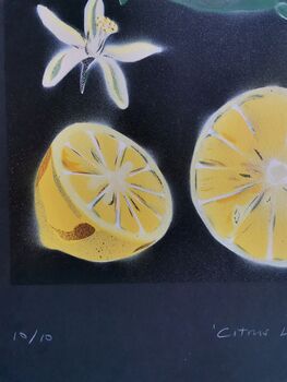'Citrus Limon' Original Signed Spraypaint, 8 of 12