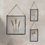 Antique Herbarium Frame: Small Natural Hill Flowers, thumbnail 5 of 7