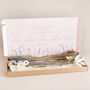 Long Stem Pastel Dried Flower Letterbox Bouquet, thumbnail 3 of 4