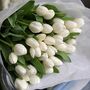 Wrapped Cut White Fresh Tulips, thumbnail 3 of 10