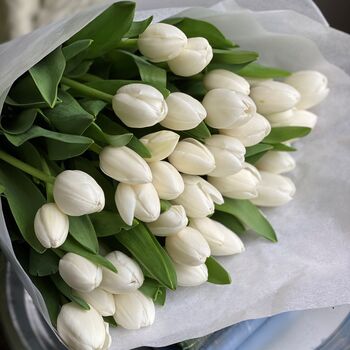 Wrapped Cut White Fresh Tulips, 3 of 10