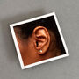 Amazing Teacher Sterling Silver Apple Earrings, thumbnail 9 of 9