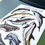 Dolphins Of Britain Greeting Card, thumbnail 3 of 12
