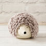 Hedgehog Crochet Kit, thumbnail 3 of 12