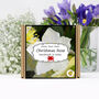 Grow Your Own Christmas Rose Plant Growing Kit, thumbnail 1 of 4