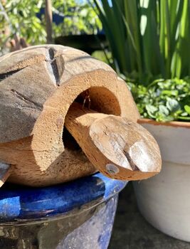 Wooden Tortoise Ornament Gift, 3 of 5