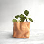 Personalised Mini Leather Paper Bag Planter With Custom Message And Artificial Round Leaf Vine, thumbnail 5 of 7