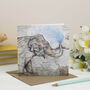 'Wild Safari' Mixed Pack Of Ten Greeting Cards, thumbnail 9 of 10