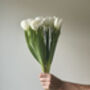 Artificial White Tulip Stem, thumbnail 3 of 6