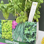Grow Your Own Herbs Gift Set, thumbnail 2 of 8