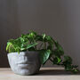 Half Face Planter, thumbnail 1 of 4
