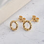 Gold Vermeil Faceted Circle Studs, thumbnail 5 of 7