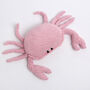 Luna The Crab Easy Crochet Kit, thumbnail 5 of 10