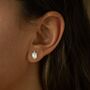 Sterling Silver Acorn And Oak Leaf Stud Earrings, thumbnail 4 of 5