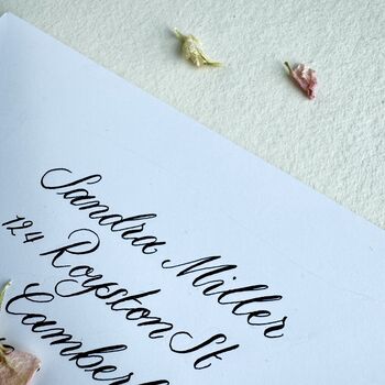 Handwritten Calligraphy Addressed Envelopes, 3 of 3