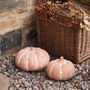 Terracotta Outdoor Light Up Pumpkin Decoration Duo, thumbnail 4 of 4