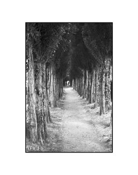 Treeline, Honfleur, France Photographic Art Print, 2 of 12