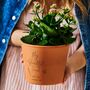Personalised Friendship Flower Pot, thumbnail 5 of 11