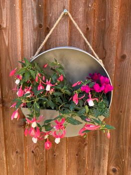 Hanging Zinc Silver Round Wall Planter Flower Pot, 3 of 5