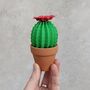 Mini Origami Paper Cactus With Colourful Paper Flower, thumbnail 1 of 5