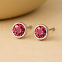 Sterling Silver October Tourmaline Birthstone Stud Earrings, thumbnail 1 of 4