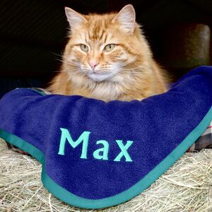 Personalised Cat Blanket By Mr Mole 