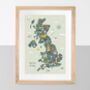 My First UK Map Personalised Print, thumbnail 2 of 8