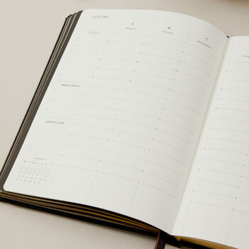 2026 Weekly Planner Tortoise, 9 of 12