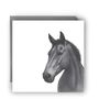 Stunning Hand Drawn Horse Greeting Card, thumbnail 1 of 4