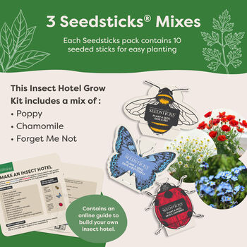 Personalised Insect Hotel Gift Pack, 3 of 10