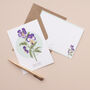 British Wild Flowers Illustrated Notelet Set, thumbnail 12 of 12