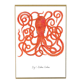 Octopoda Octopus Art Print, 3 of 9