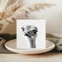 Hand Drawn Ostrich Illustration Greeting Card, thumbnail 3 of 6