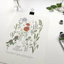 Set Of Two Wildflower And Meadow Grass Charts Prints, thumbnail 2 of 3