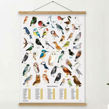 The Chartologist – Birds Scratch Off Print, 2 of 3