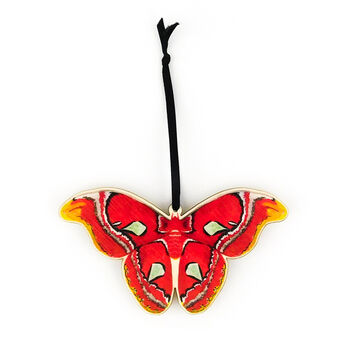 Atlas Moth Wooden Hanging Decoration, 3 of 5