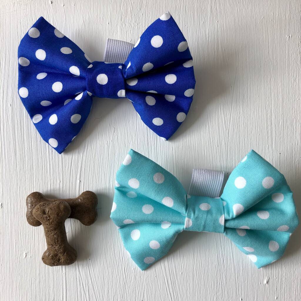 Blue Or Turquoise Dog Bow/ Bow Tie For Dogs, 1 of 4