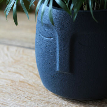 Blue Face Plant Pot, 2 of 3