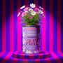 Personalised May Grow Your Own Flower Gift, thumbnail 1 of 4