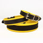 Handcrafted Padded Leather Dog Collar, thumbnail 7 of 9
