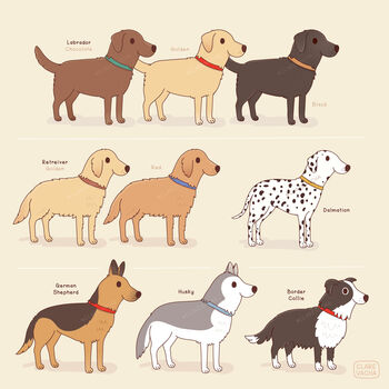 Personalised Pet Illustration, 3 of 6