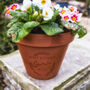 Happy Birthday Personalised Plant Pot, thumbnail 1 of 1