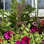 Fairy Decoration Gift Present For The Home Or Garden, thumbnail 1 of 8