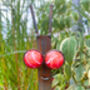 Fun Snail Garden Feature, Handmade In Norfolk, UK, thumbnail 11 of 12