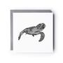 Heze The Turtle Blank Greeting Card, thumbnail 1 of 3