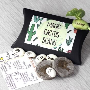 Magic Cactus Bean Grow Set, 8 of 10