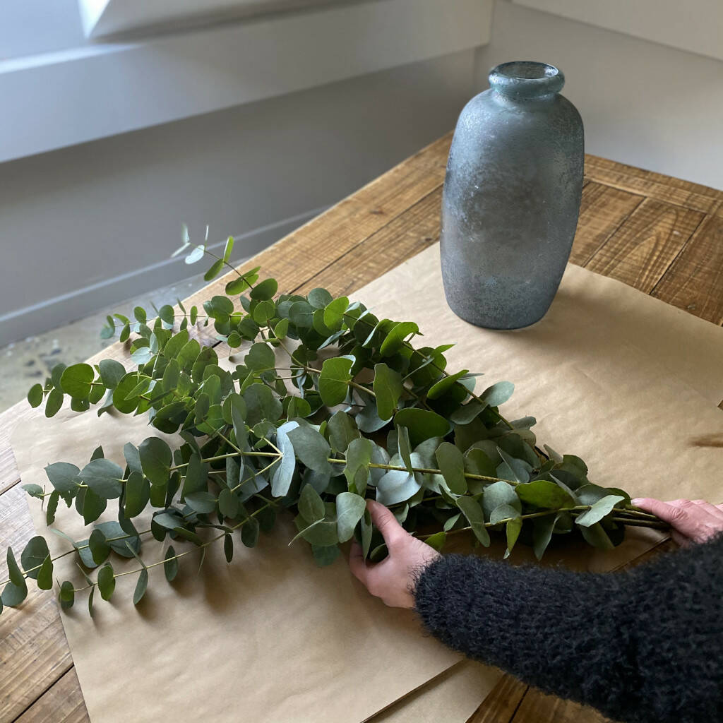 Fresh Cut Eucalyptus Cineria Greenery By Goods & Ware