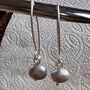 Grey Pearl Earrings On Long Sterling Silver Hooks, thumbnail 1 of 4