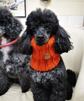 Pumpkin Orange Roll Top Dog Snood, 4 of 4